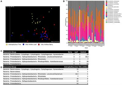 Current Knowledge and Computational Techniques for Grapevine Meta-Omics Analysis